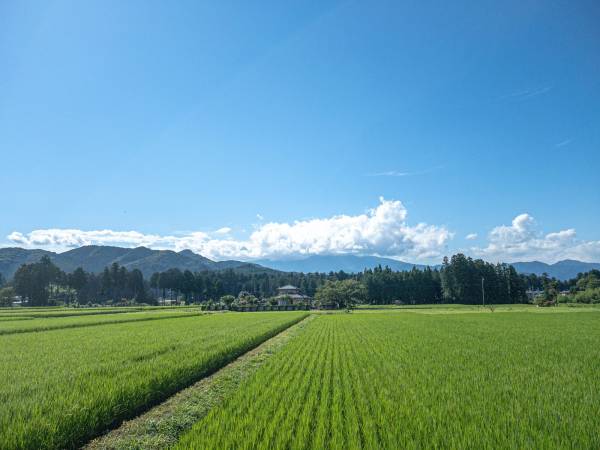 ありがとうございます🙇