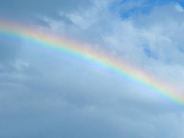 虹🌈