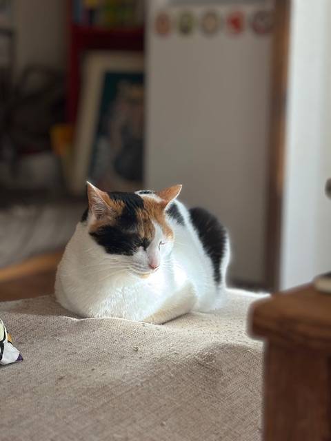 ありがとうございました