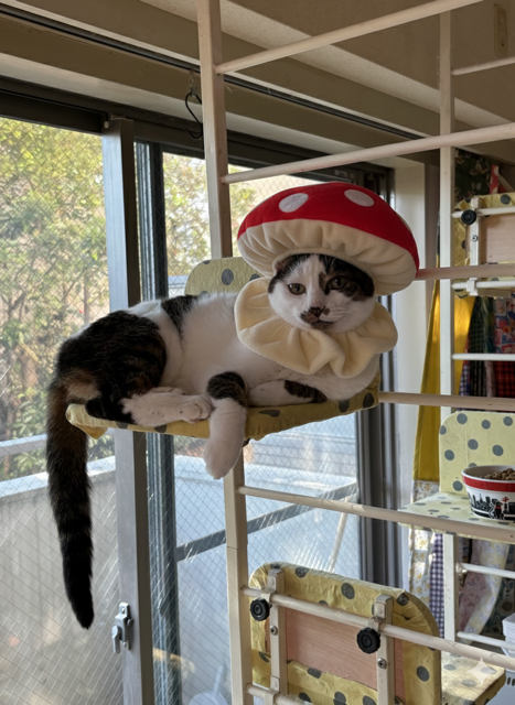 遅くなりまして…