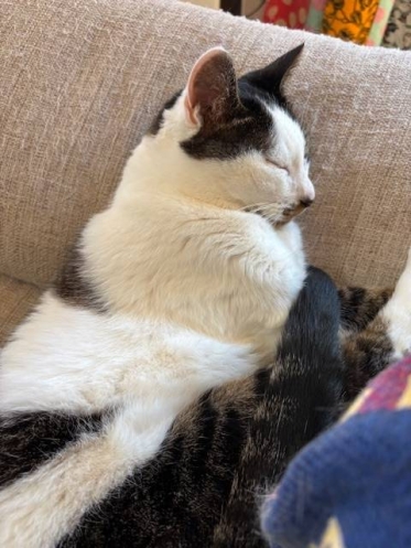 おはようございます☀