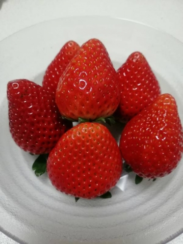 おはようございます