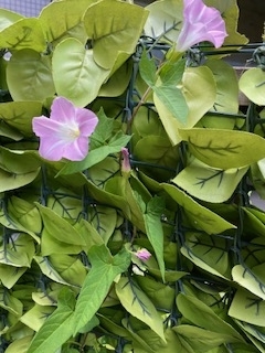 おはようございまぁす。