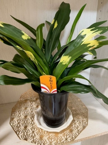 帰路につきました。