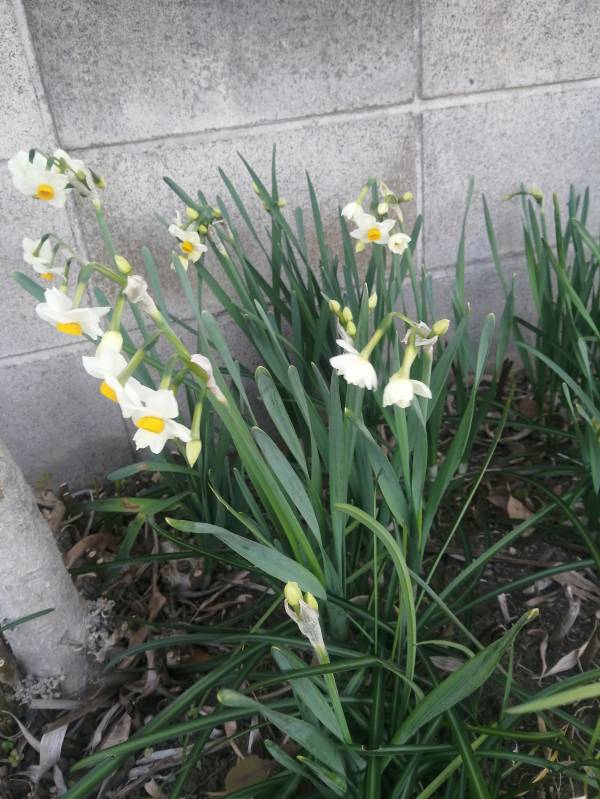 おはようございます