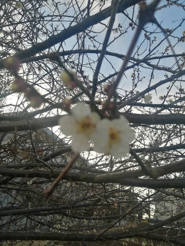 ありがとうございました