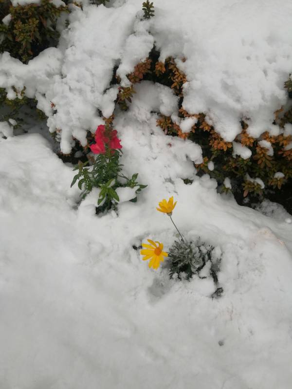 ありがとうございました