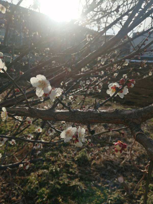 ありがとうございました