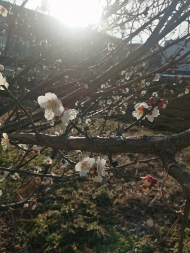 ありがとうございました