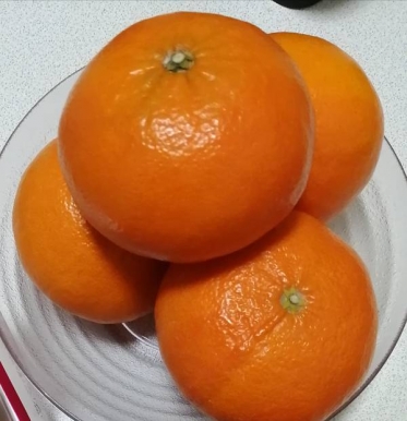 このフルーツの名は…