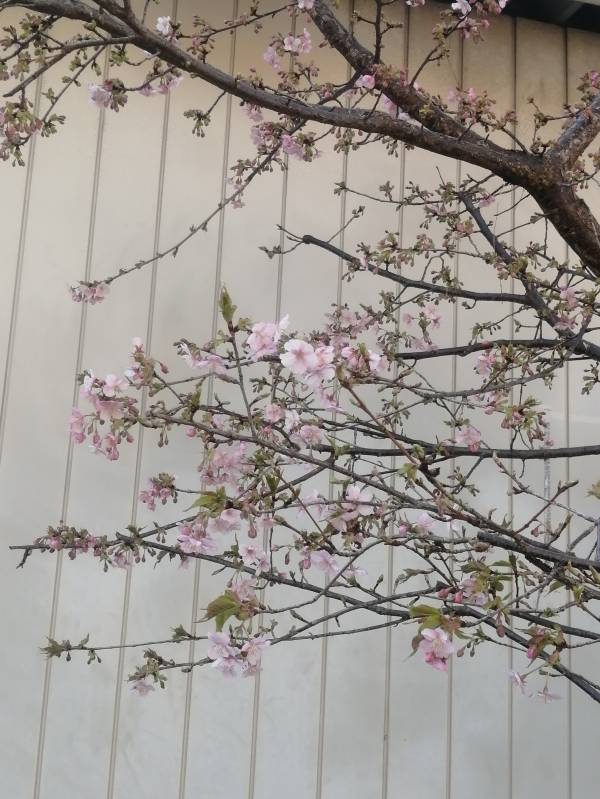 ありがとうございました