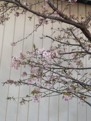 ありがとうございました