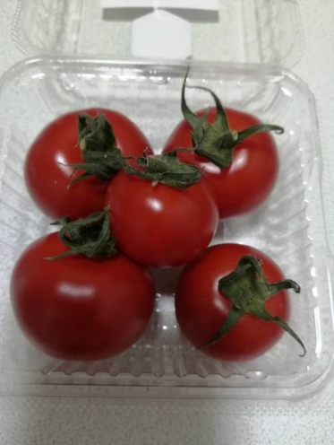 ありがとうございました