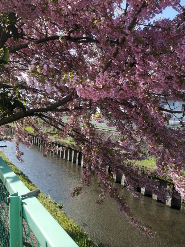 お待ちしています