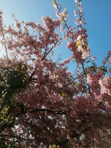 ありがとうございました