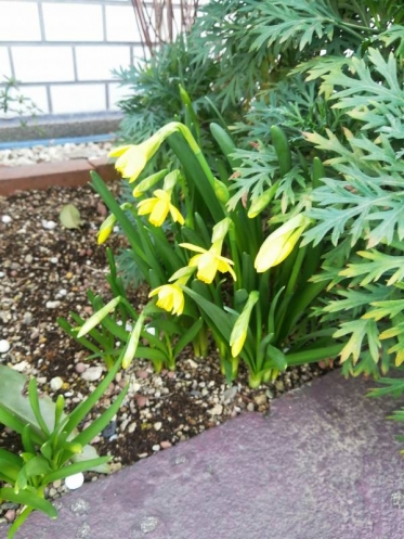 ありがとうございました