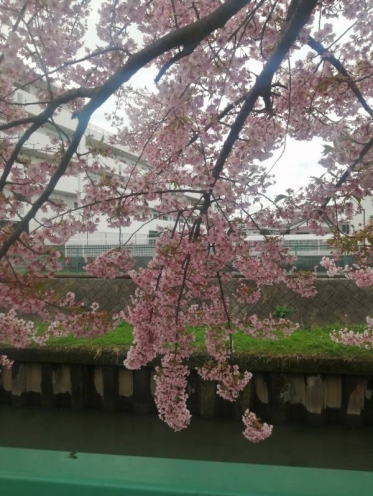 ありがとうございました