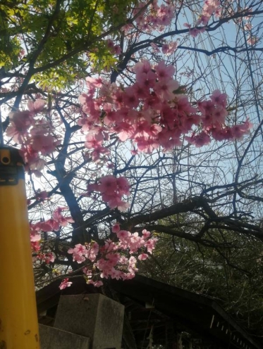 ありがとうございました