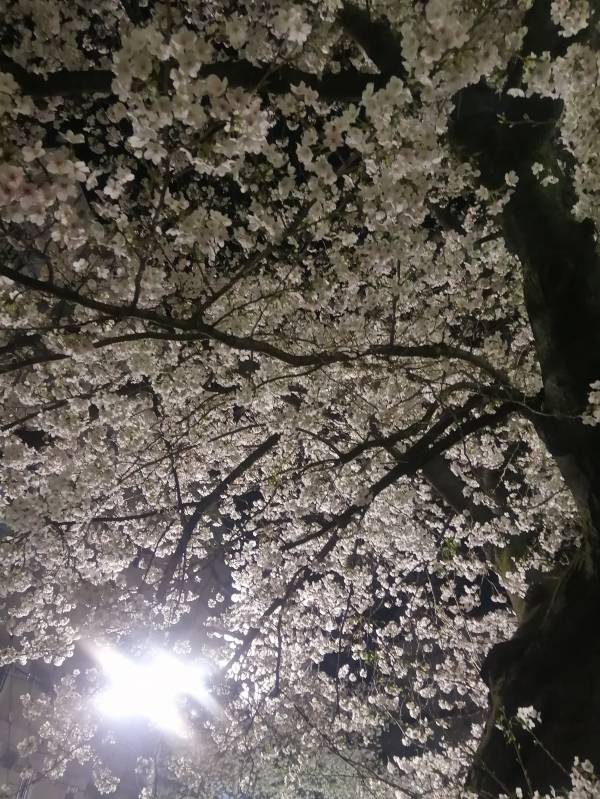 ありがとうございました