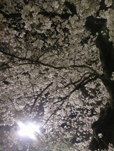 ありがとうございました