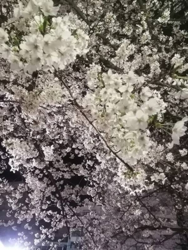 ありがとうございました