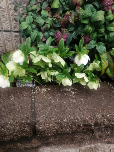 ありがとうございました