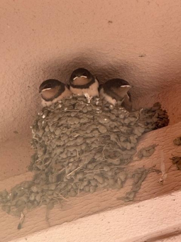 はじめまして⭐︎こんにちは