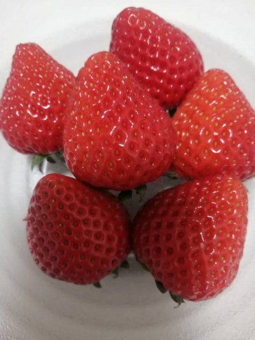 ありがとうございました