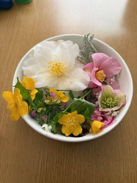 こんにちは♪