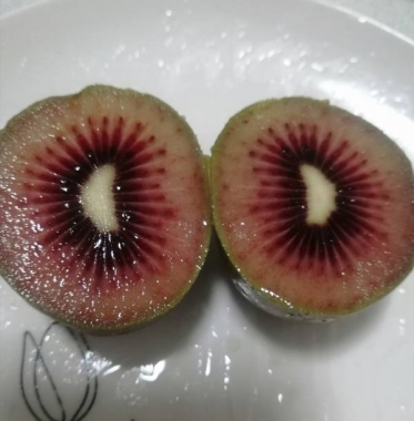 おはようございます