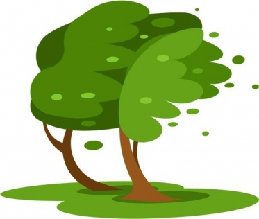 嵐の前の静けさ？