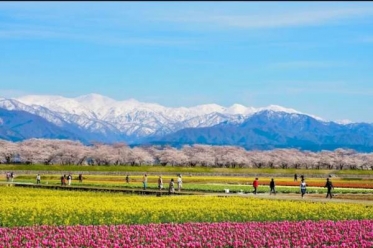 ありがとうございました