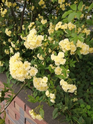 今日が終わる…