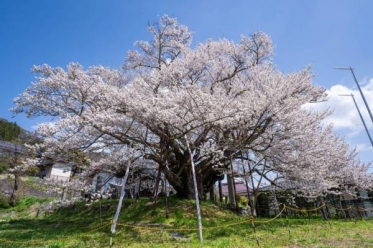 ありがとうございました
