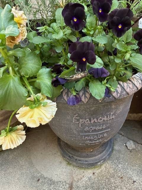 緊張のデビュー😊