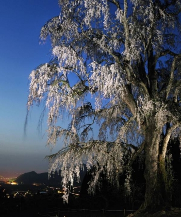 お待ちしています