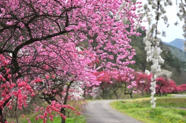 ありがとうございました