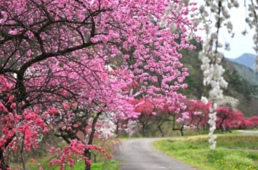 ありがとうございました