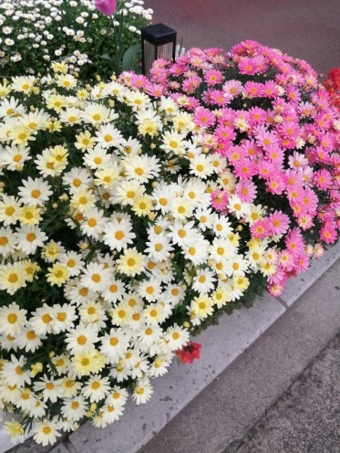 おはようございます