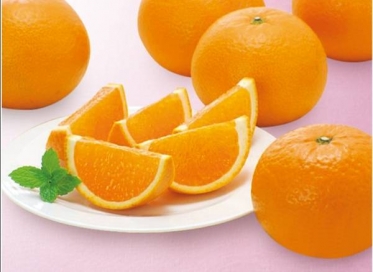 ありがとうございました