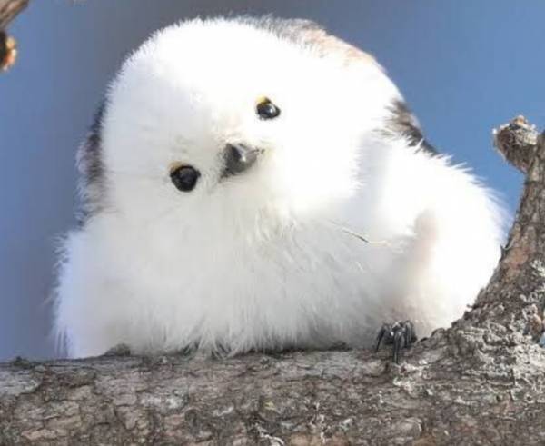 おはようございます