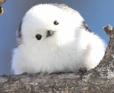 おはようございます