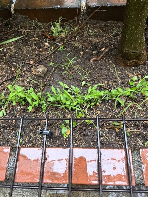 ☔️おはようございます🍬