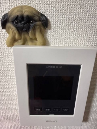 本日も