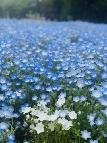 おはようございます