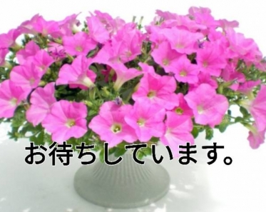 いい風が吹いて…