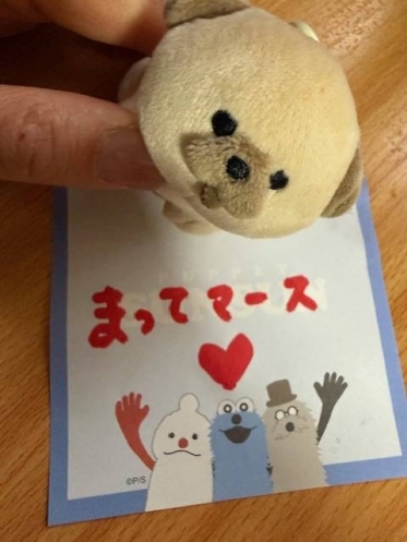 お早うございます🌈
