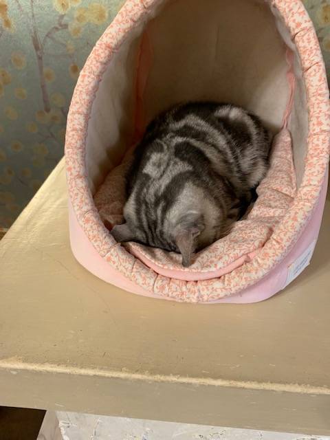 今日も❣️