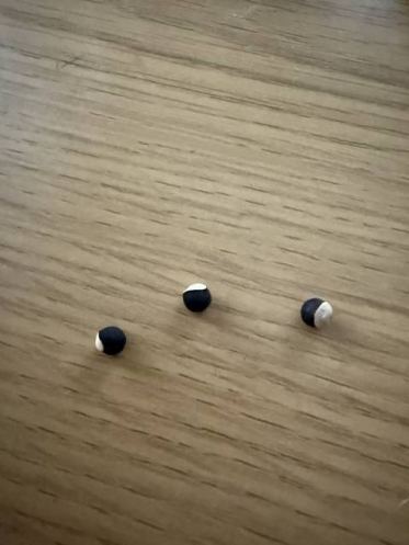毎日良い天気で
