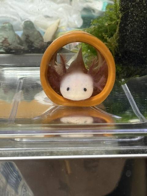こんにちは☀︎